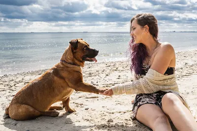 SzczekUp - Behawiorysta Aleksandra Białek